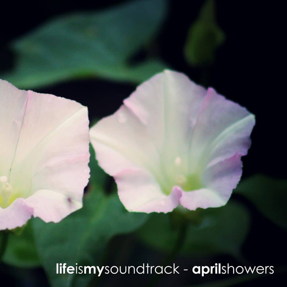 The album April Showers by Life Is My Soundtrack - Light, delicate, minimal piano melodies