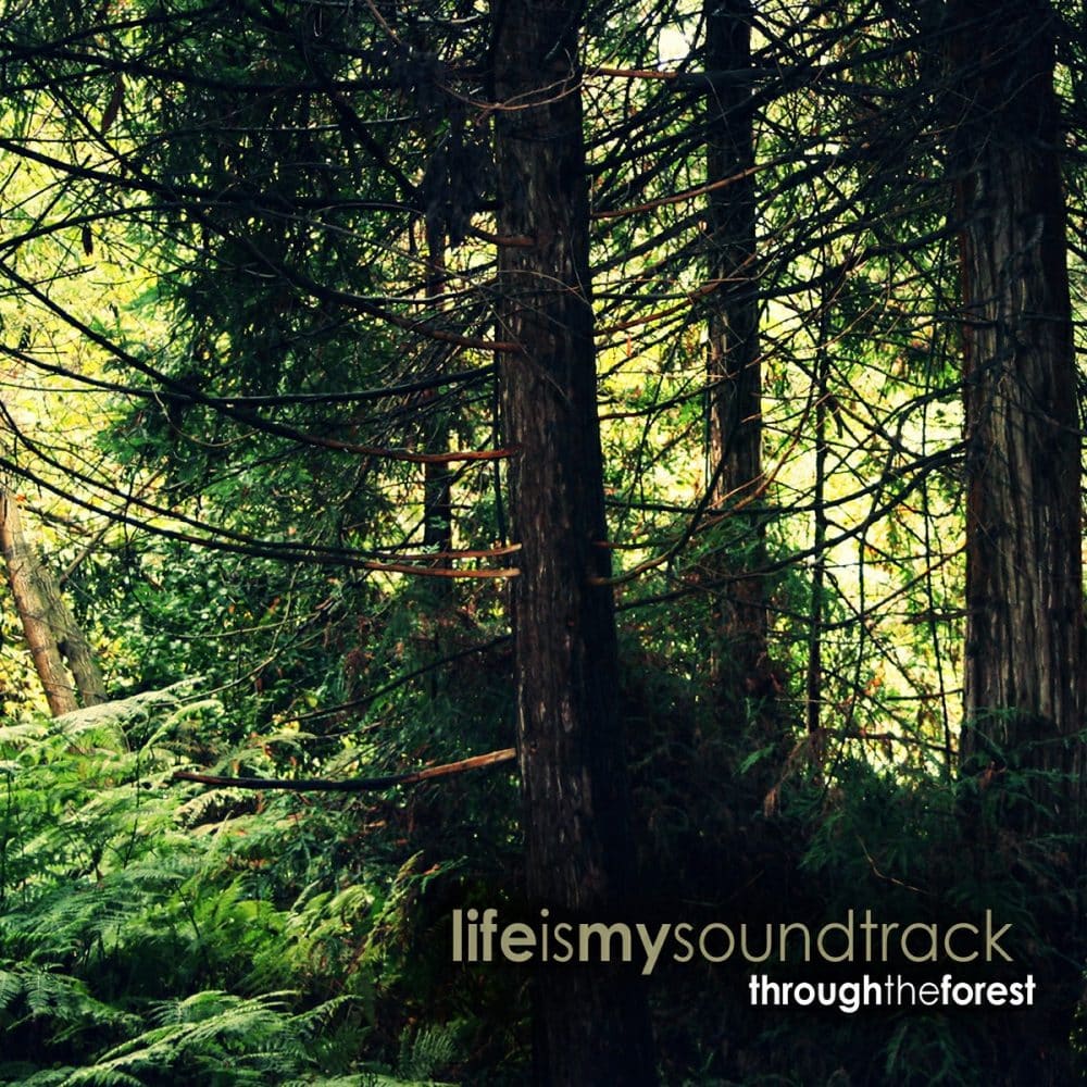 The album Through The Forest by Life Is My Soundtrack - Travel through the forest, lie under the shade, and listen to the wind in the trees