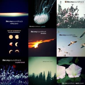 Cover artwork from different Life Is My Soundtrack albums