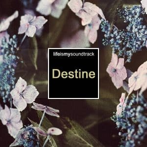 The album Destine by Life Is My Soundtrack - An ambient blend of nature, bells, and a touch of rhythm